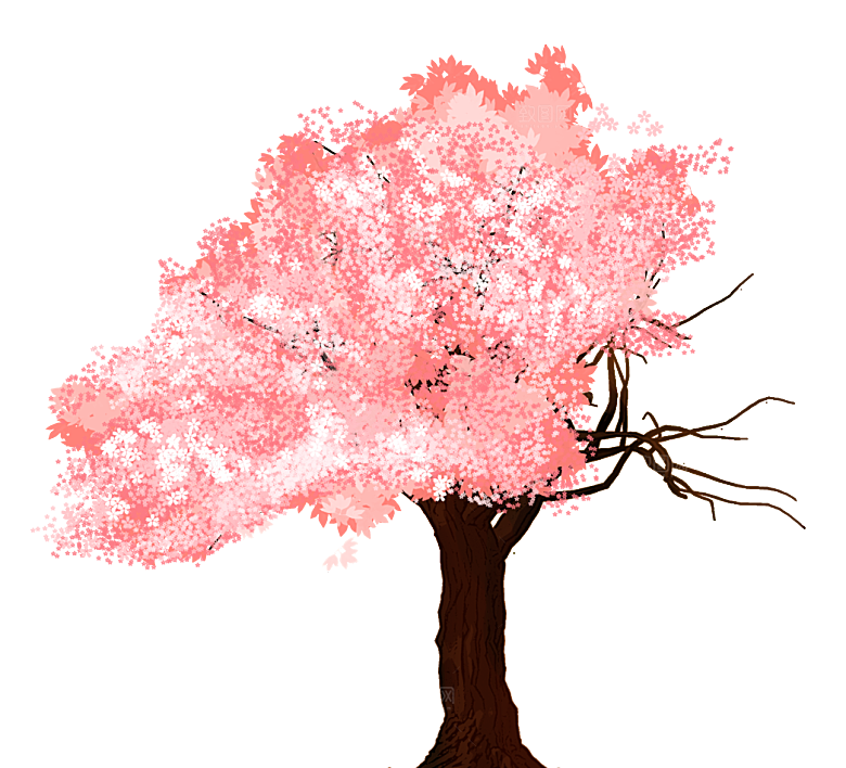 浪漫樱花树桃花插图背景PNG免抠