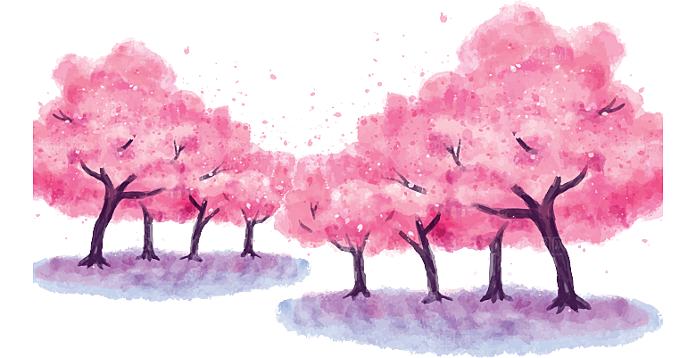 浪漫樱花树桃花插图背景PNG免抠素材
