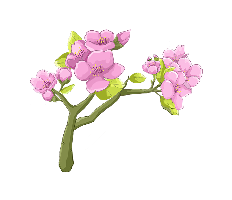 浪漫樱花树桃花插图背景PNG免抠