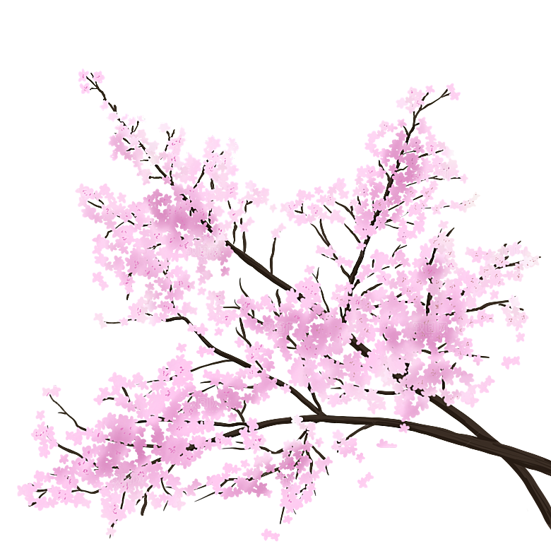 浪漫樱花树桃花插图背景PNG免抠素材