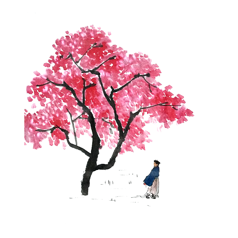 浪漫樱花树桃花插图背景PNG免抠