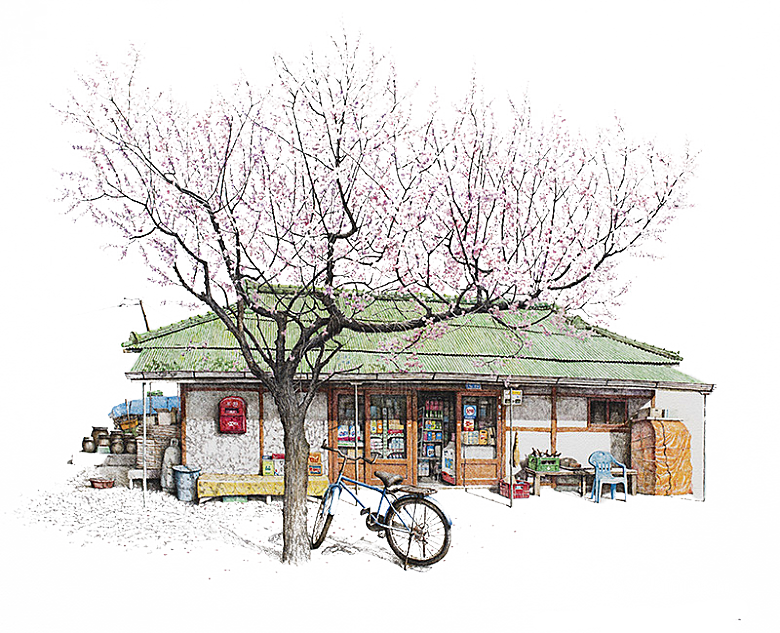 浪漫樱花树桃花插图背景PNG免抠