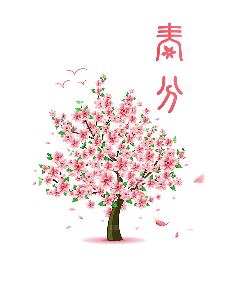 浪漫樱花树桃花插图背景PNG免抠