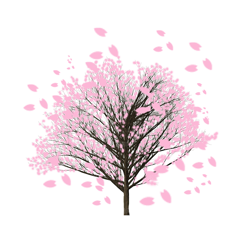浪漫樱花树桃花插图背景PNG免抠素材