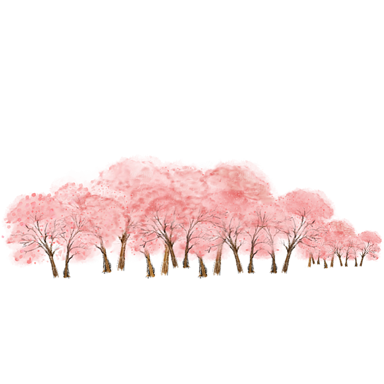 浪漫樱花树桃花插图背景PNG免抠素材