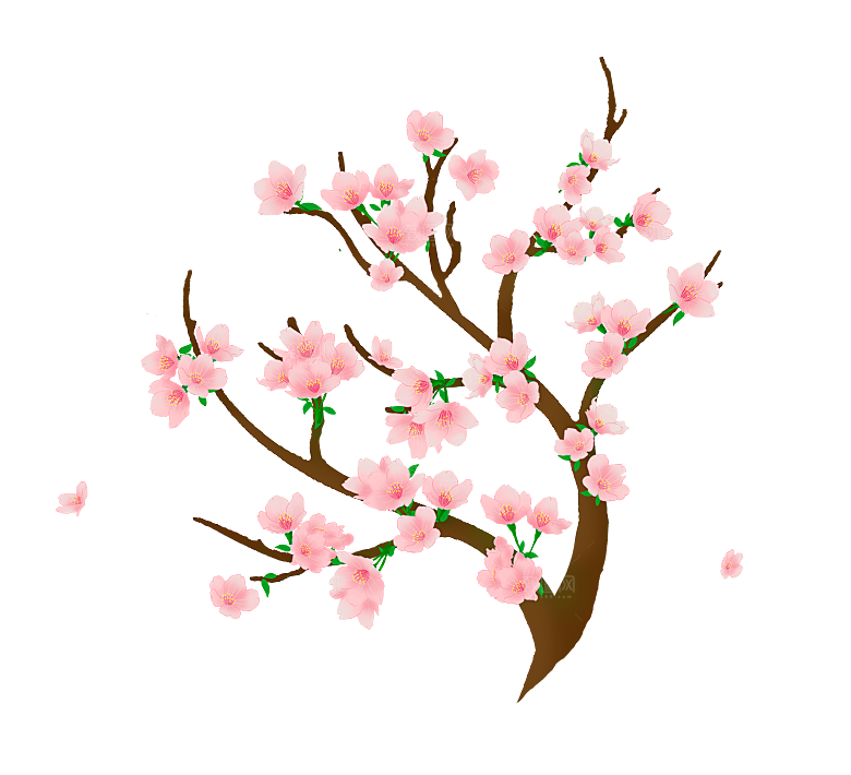 浪漫樱花树桃花插图背景PNG免抠素材
