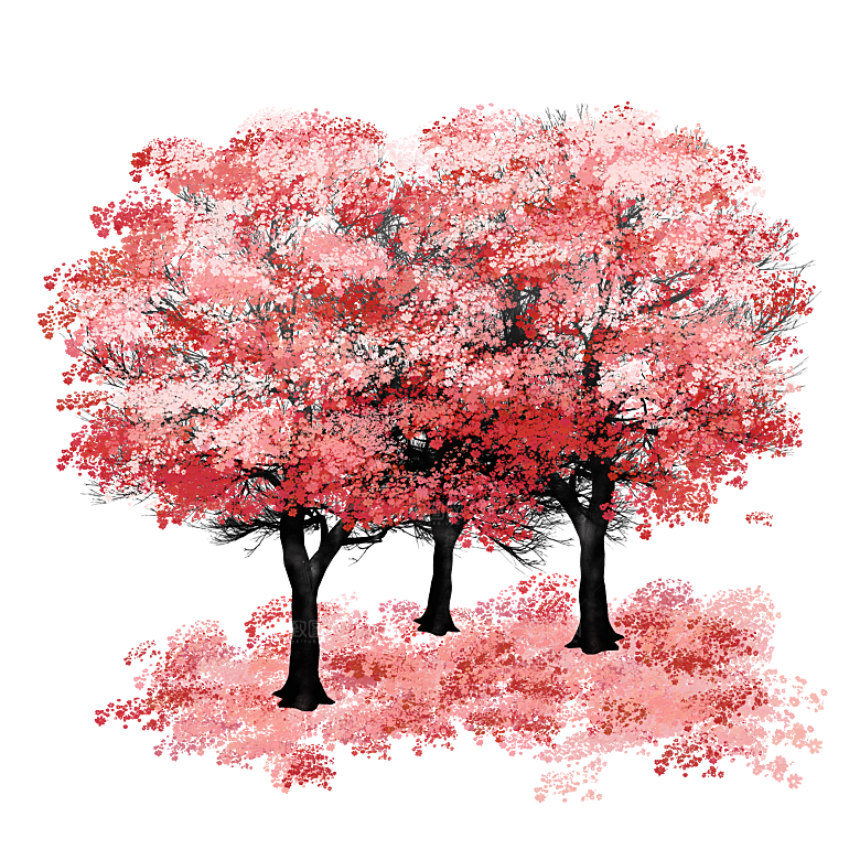 浪漫樱花树桃花插图背景PNG免抠素材