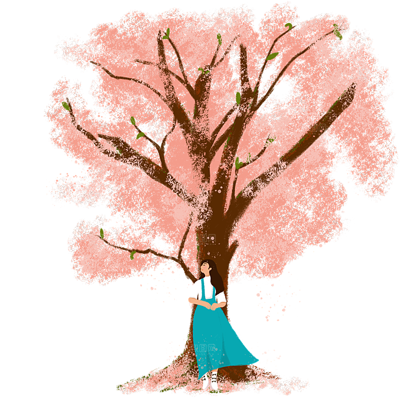 浪漫樱花树桃花插图背景PNG免抠图片