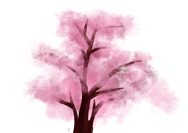 浪漫樱花树桃花插图背景PNG免抠图片