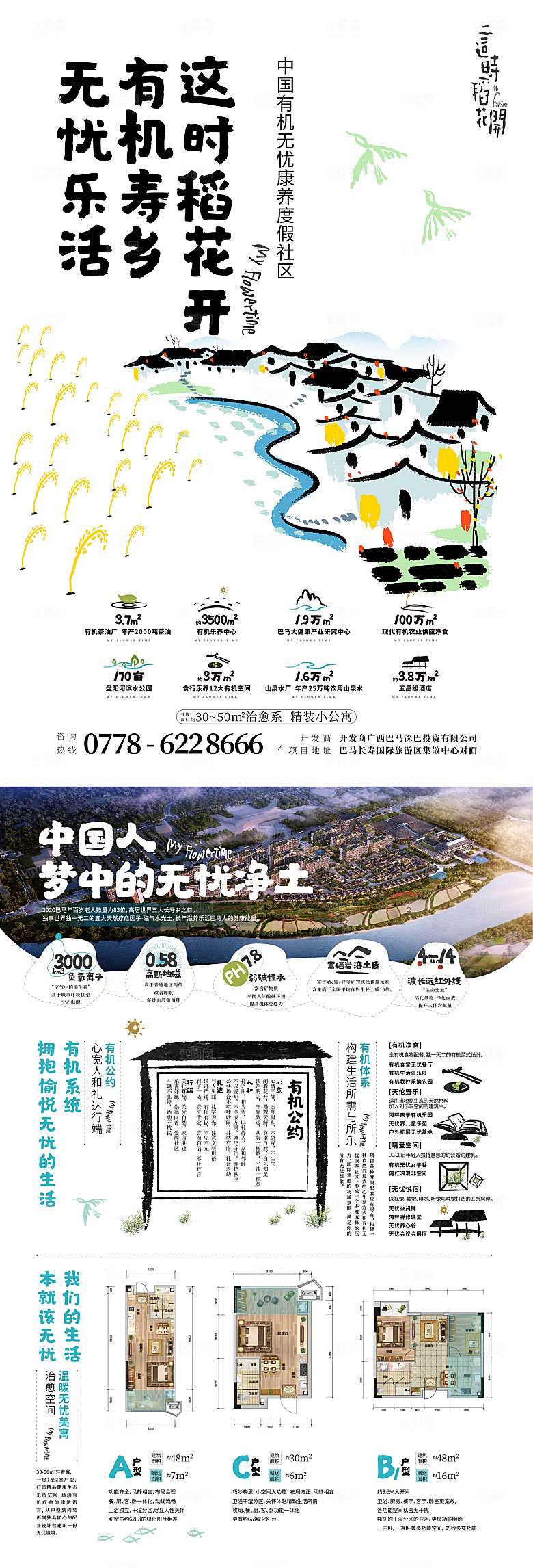 这时稻花开价值单张
