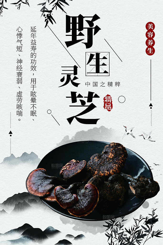 美容养生野生灵芝