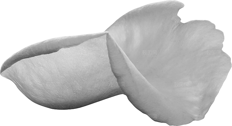 玫瑰花专题PNG图片各色玫瑰花瓣花枝素材