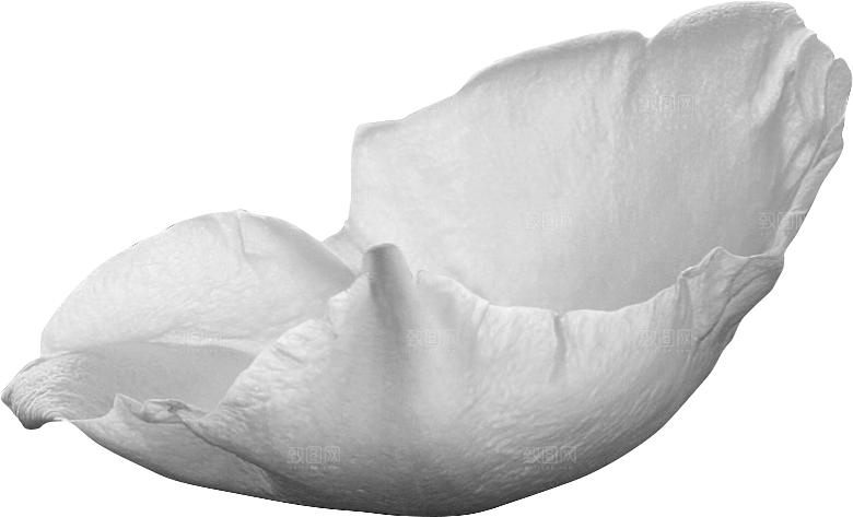 玫瑰花专题PNG图片各色玫瑰花瓣花枝素材