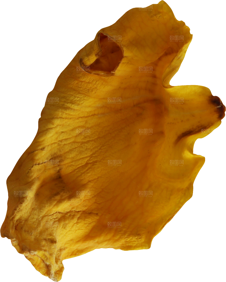 玫瑰花专题PNG图片各色玫瑰花瓣花枝素材