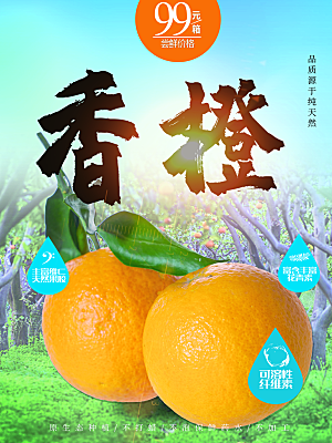 新鲜水果香橙海报
