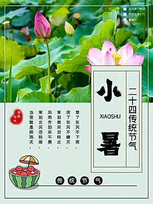 小暑节气简约大气海报