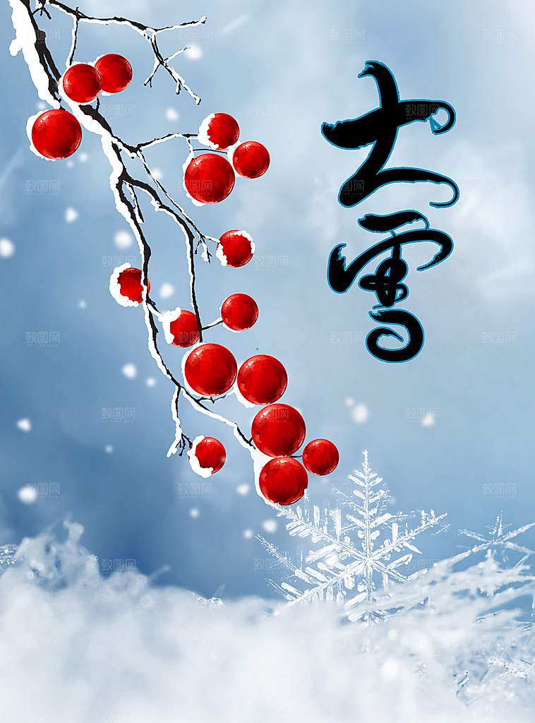 二十四节气节日大雪宣传海报