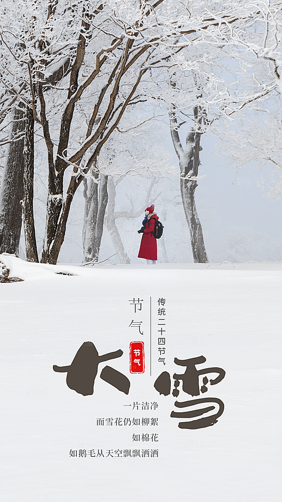 创意二十四节气大雪创意花瓣