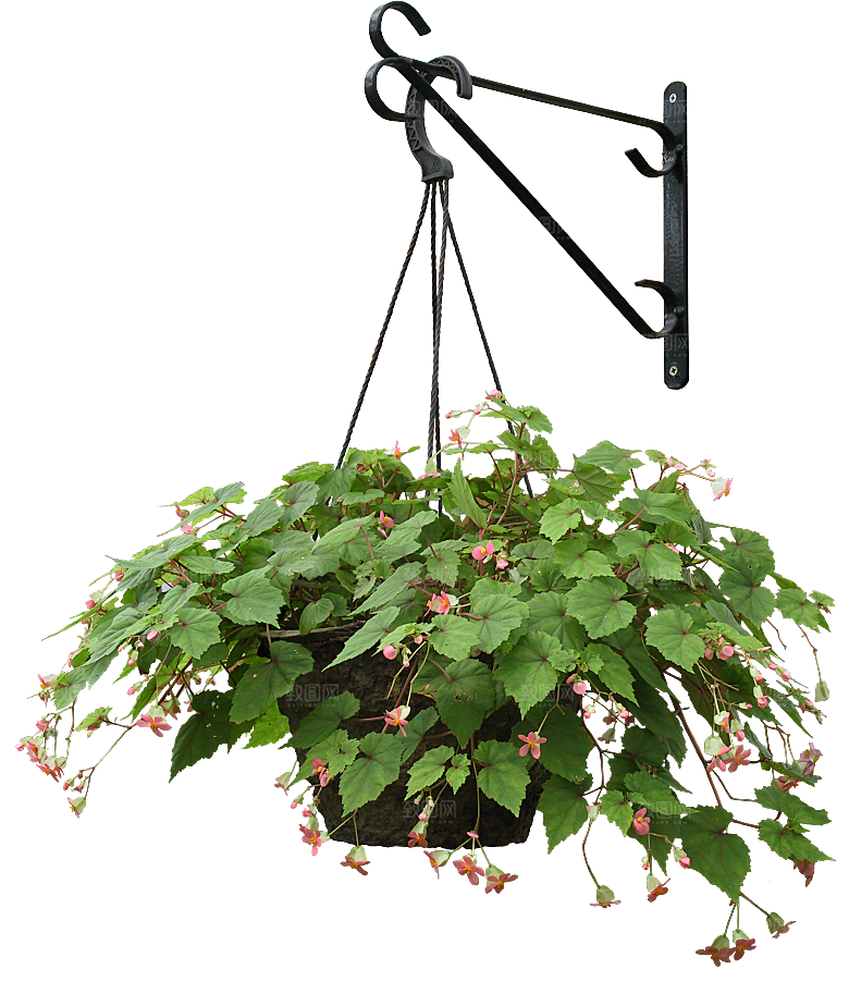 花艺软装北欧绿植插花花卉盆栽PNG