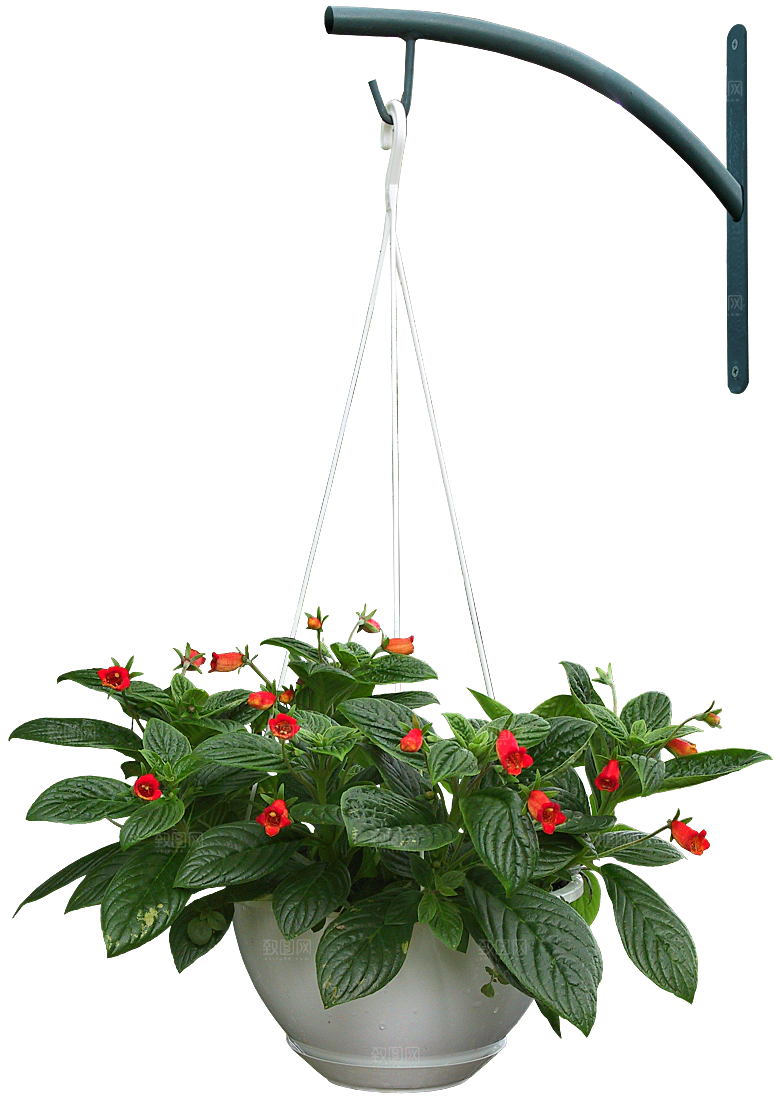 花艺软装北欧绿植插花花卉盆栽PNG
