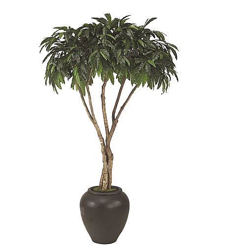 花艺软装北欧绿植插花花卉盆栽PNG素材