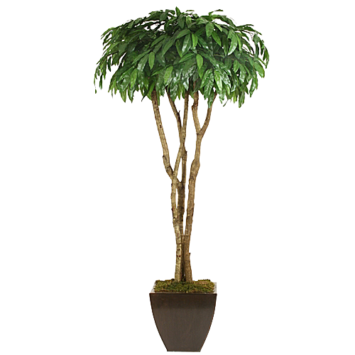 花艺软装北欧绿植插花花卉盆栽PNG素材