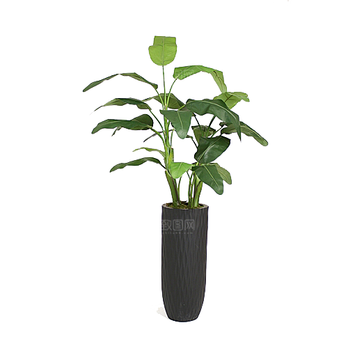 花艺软装北欧绿植插花花卉盆栽PNG素材