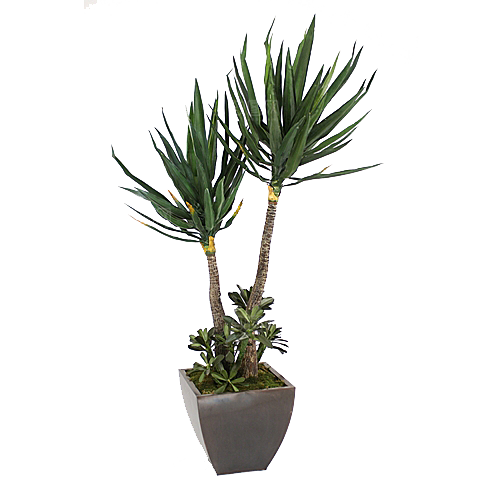花艺软装北欧绿植插花花卉盆栽PNG素材