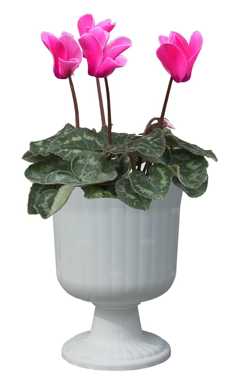 花艺软装北欧绿植插花花卉盆栽PNG