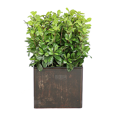 花艺软装北欧绿植插花花卉盆栽PNG