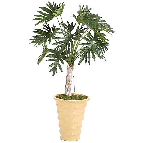 花艺软装北欧绿植插花花卉盆栽PNG