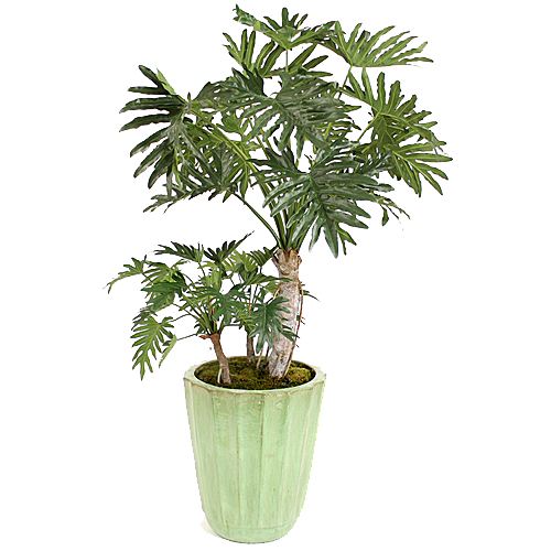 花艺软装北欧绿植插花花卉盆栽PNG