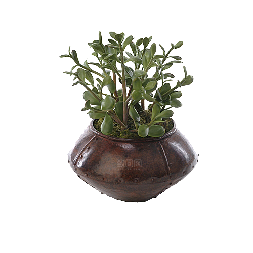 花艺软装北欧绿植插花花卉盆栽PNG