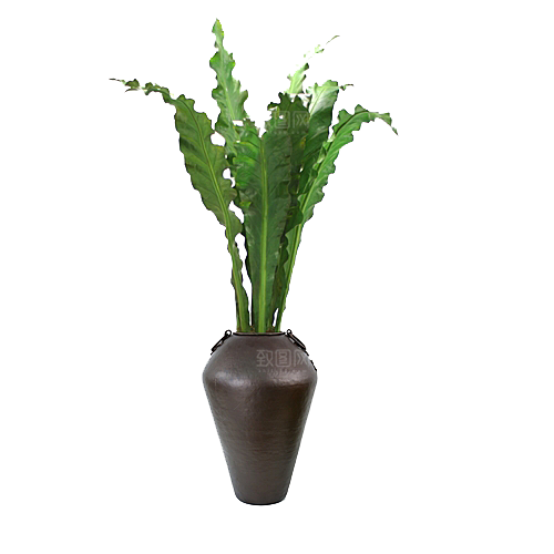 花艺软装北欧绿植插花花卉盆栽PNG