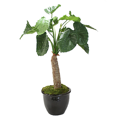 花艺软装北欧绿植插花花卉盆栽PNG