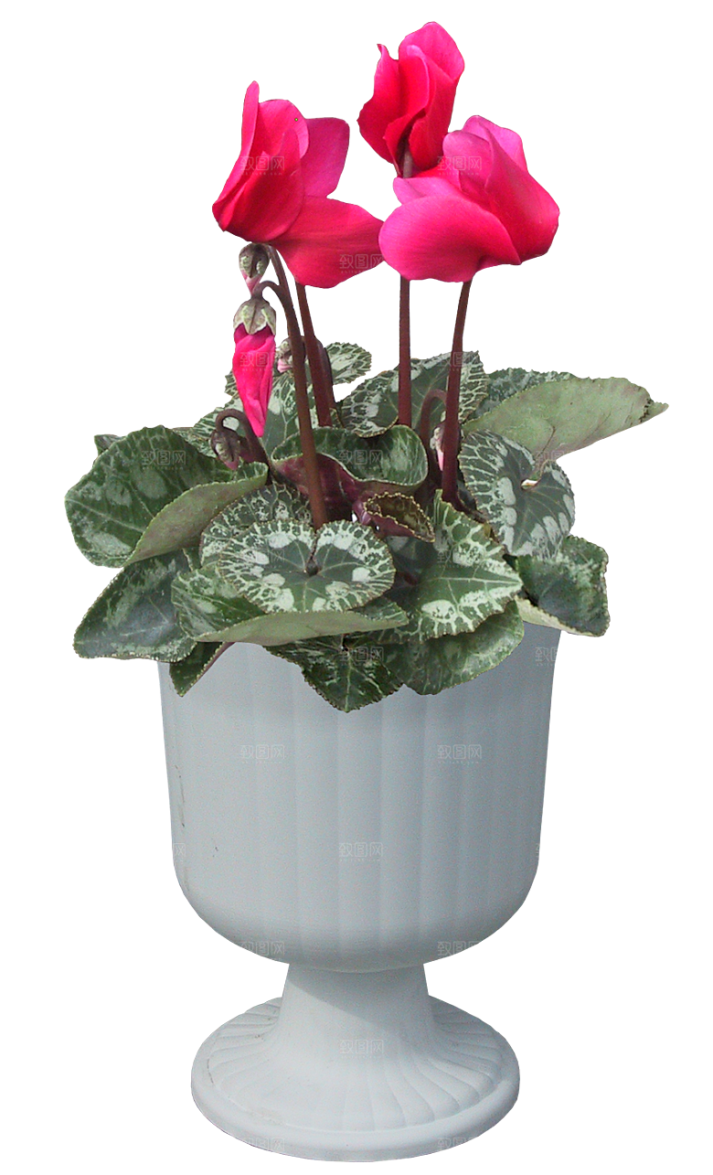 花艺软装北欧绿植插花花卉盆栽PNG
