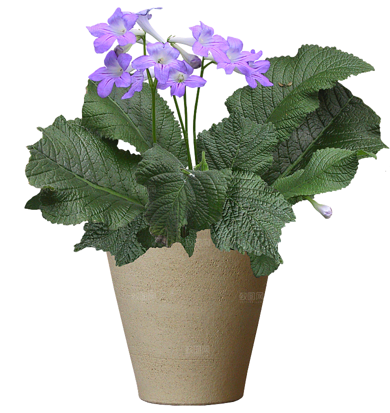 花艺软装北欧绿植插花花卉盆栽PNG