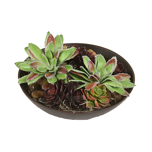 花艺软装北欧绿植插花花卉盆栽PNG
