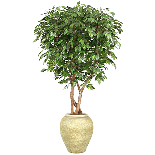 花艺软装北欧绿植插花花卉盆栽PNG