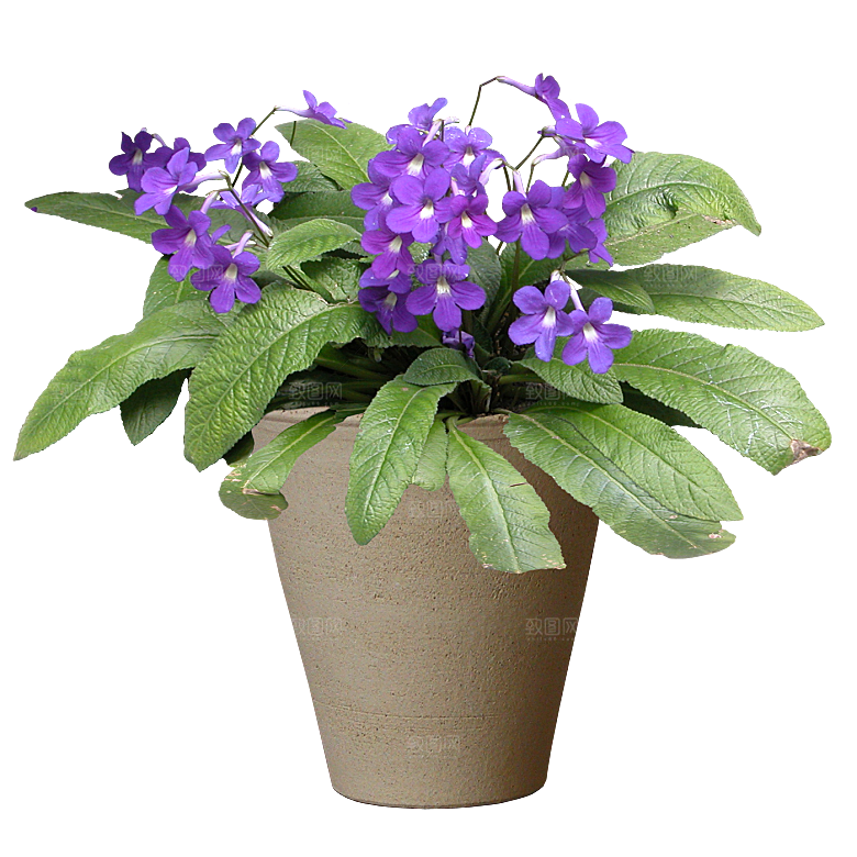 花艺软装北欧绿植插花花卉盆栽PNG