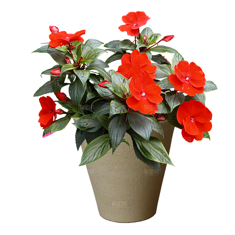 花艺软装北欧绿植插花花卉盆栽PNG素材