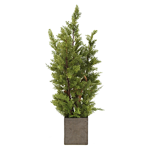花艺软装北欧绿植插花花卉盆栽PNG素材