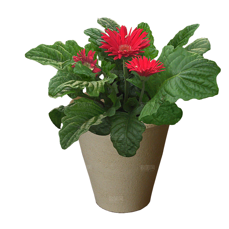 花艺软装北欧绿植插花花卉盆栽PNG素材