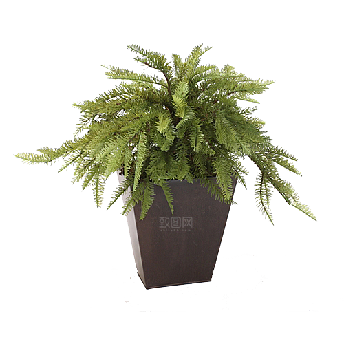 花艺软装北欧绿植插花花卉盆栽PNG素材