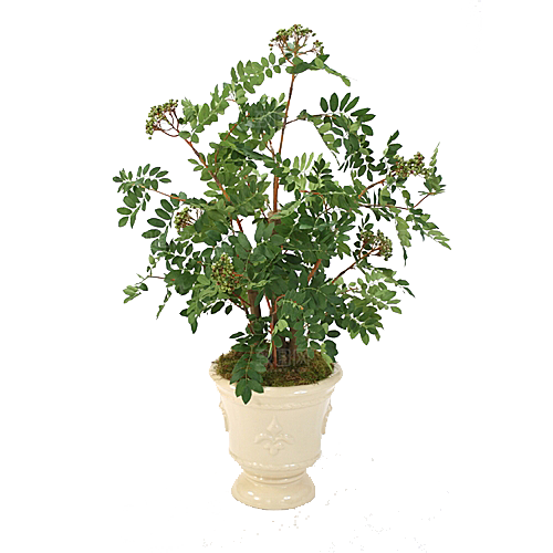 花艺软装北欧绿植插花花卉盆栽PNG素材