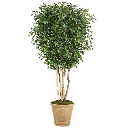 花艺软装北欧绿植插花花卉盆栽PNG素材
