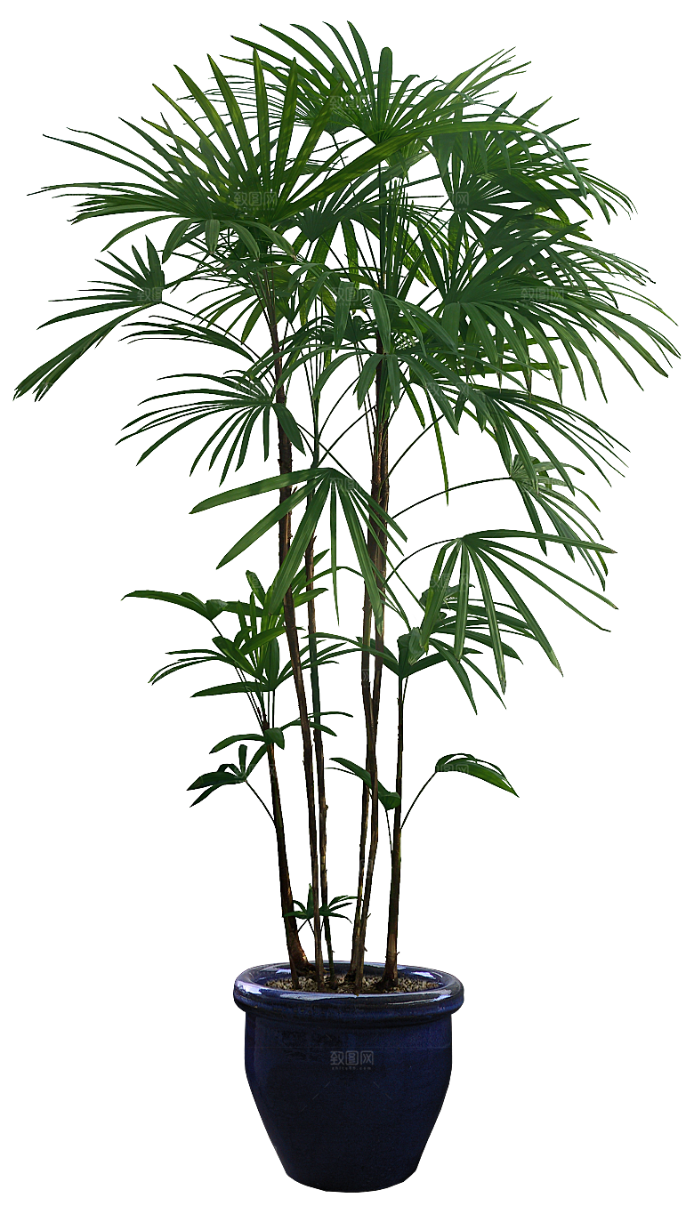 花艺软装北欧绿植插花花卉盆栽PNG素材