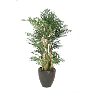 花艺软装北欧绿植插花花卉盆栽PNG素材