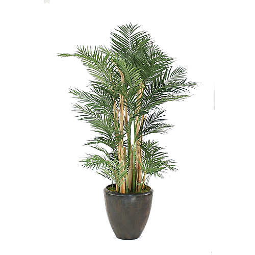 花艺软装北欧绿植插花花卉盆栽PNG素材