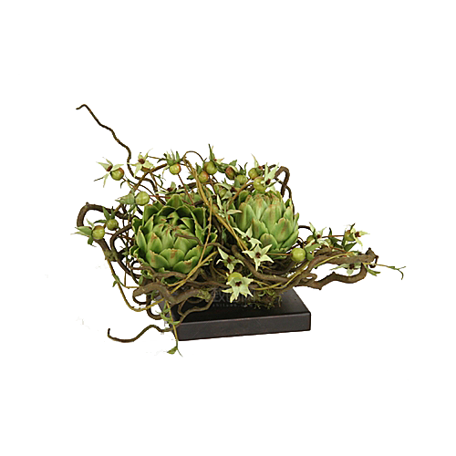 花艺软装北欧绿植插花花卉盆栽PNG